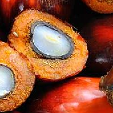 To Palm Oil or not to Palm Oil...
