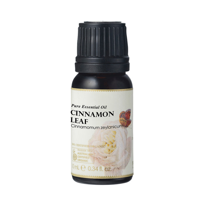AUSGANICA Organic Cinnamon Leaf Essential Oil 10ml